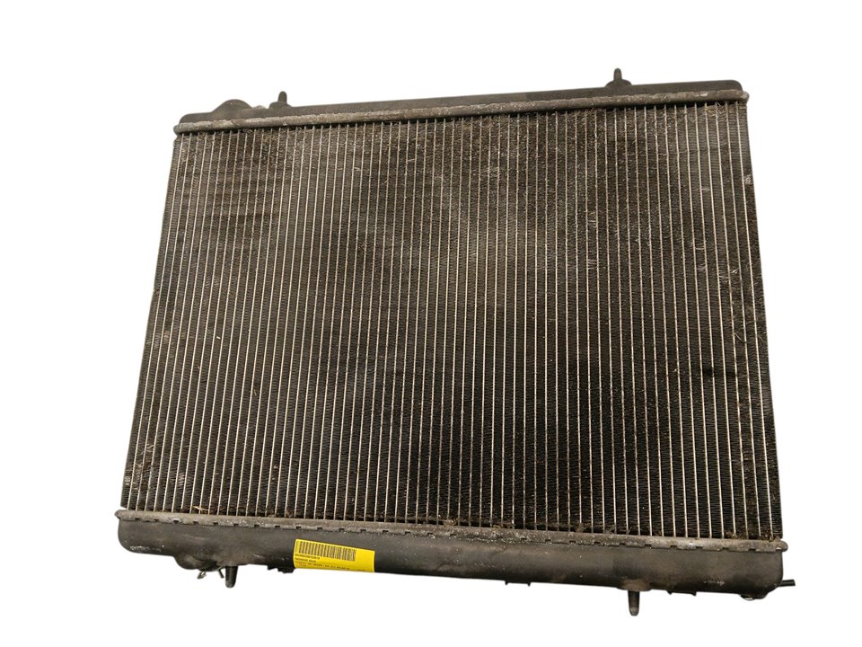 Radiador agua Peugeot 307 (S1)