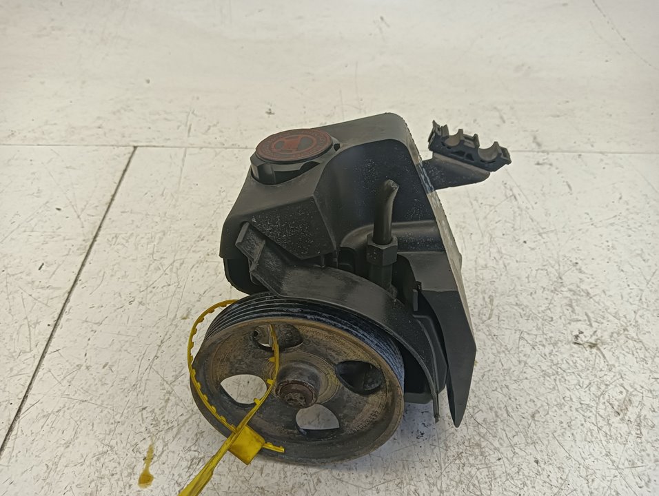 Bomba dirección Peugeot 206