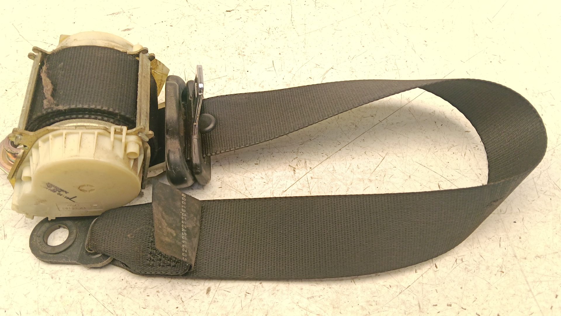 Cinturón seguridad Ford Focus (CAP)