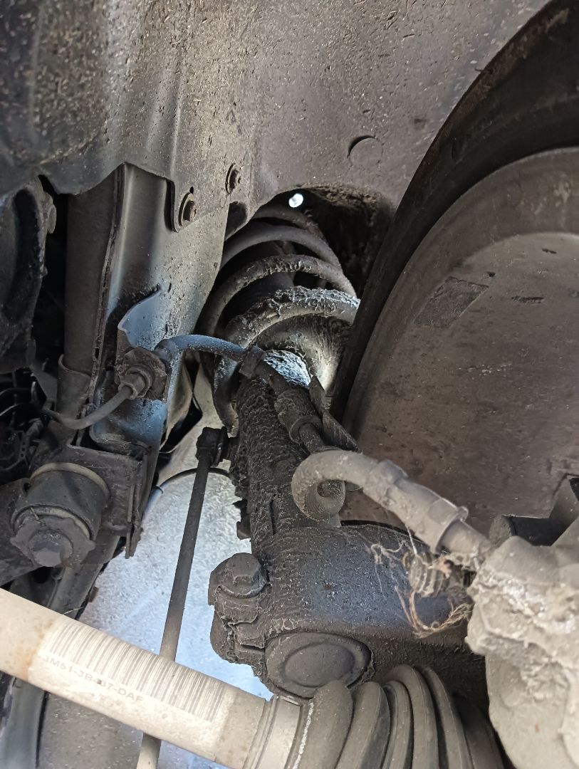 Amortiguador Ford Focus (CB4)