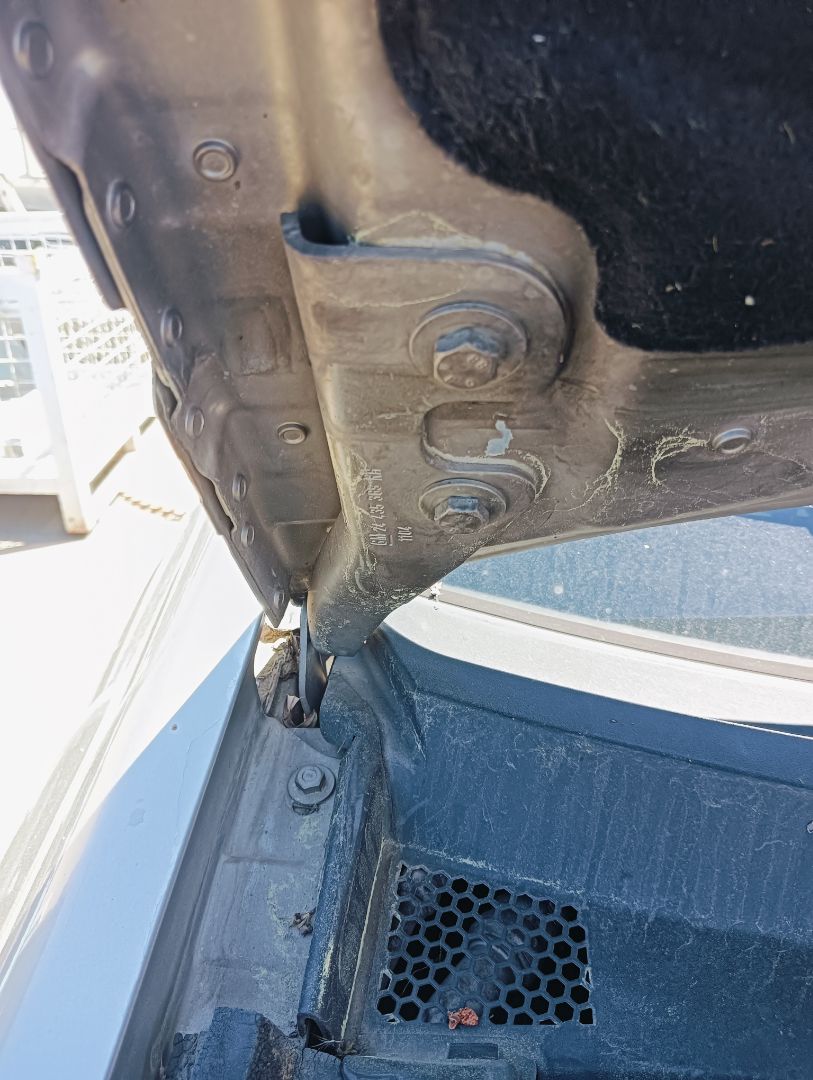 Bisagra capó Opel Vectra C