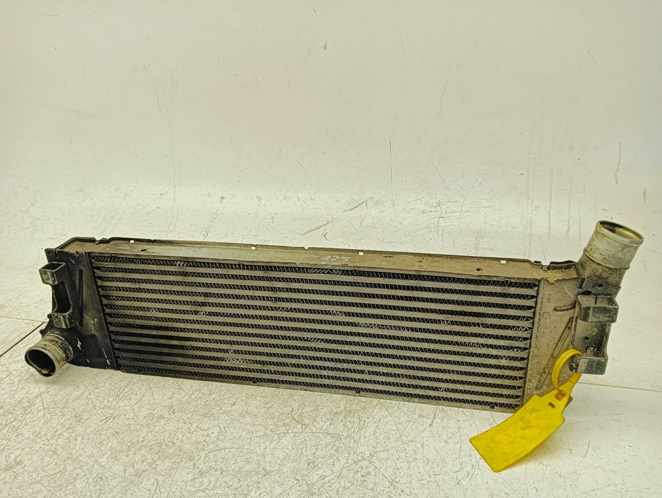 Intercooler Renault Scenic II (JM)