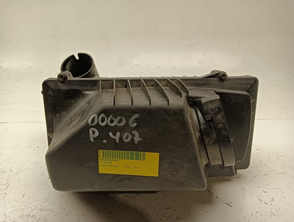 Filtro aire Peugeot 407