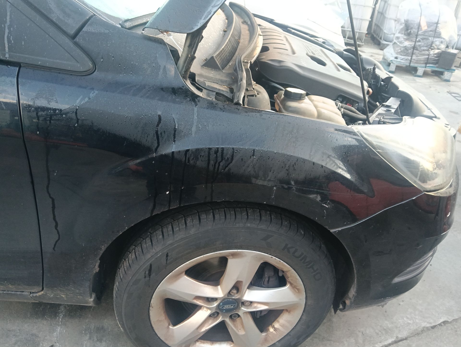 Aleta Ford Focus Sportbreak (CB4)