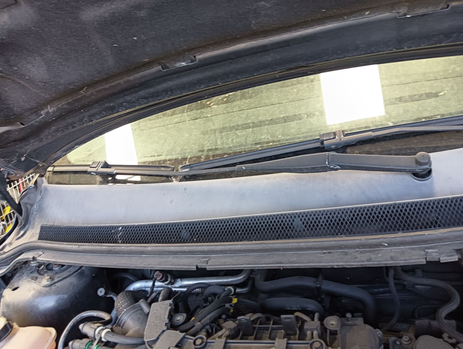 Brazo limpia Ford Focus (CB4)
