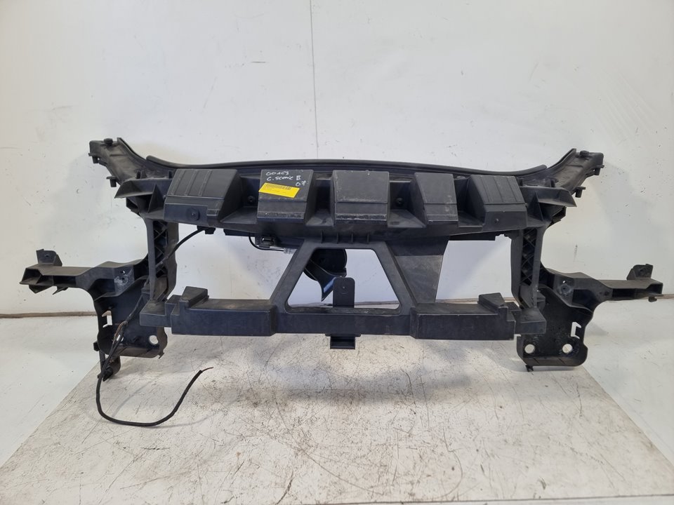 Panel frontal Renault Scenic II (JM)