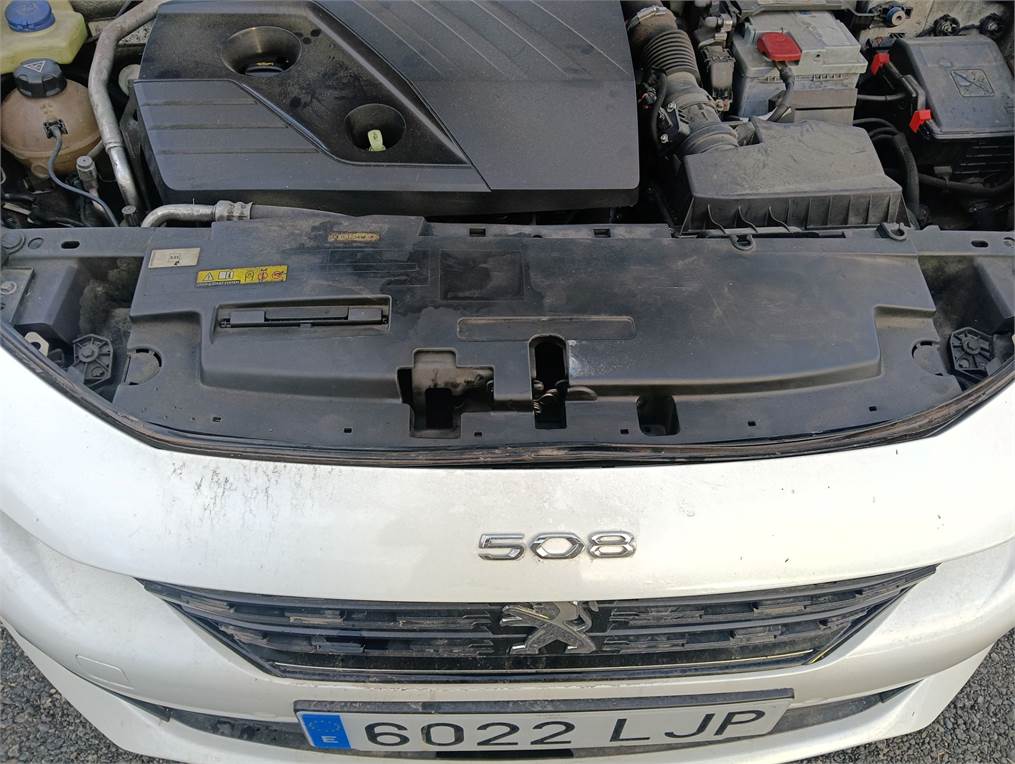 Panel frontal Peugeot 508 (R8)