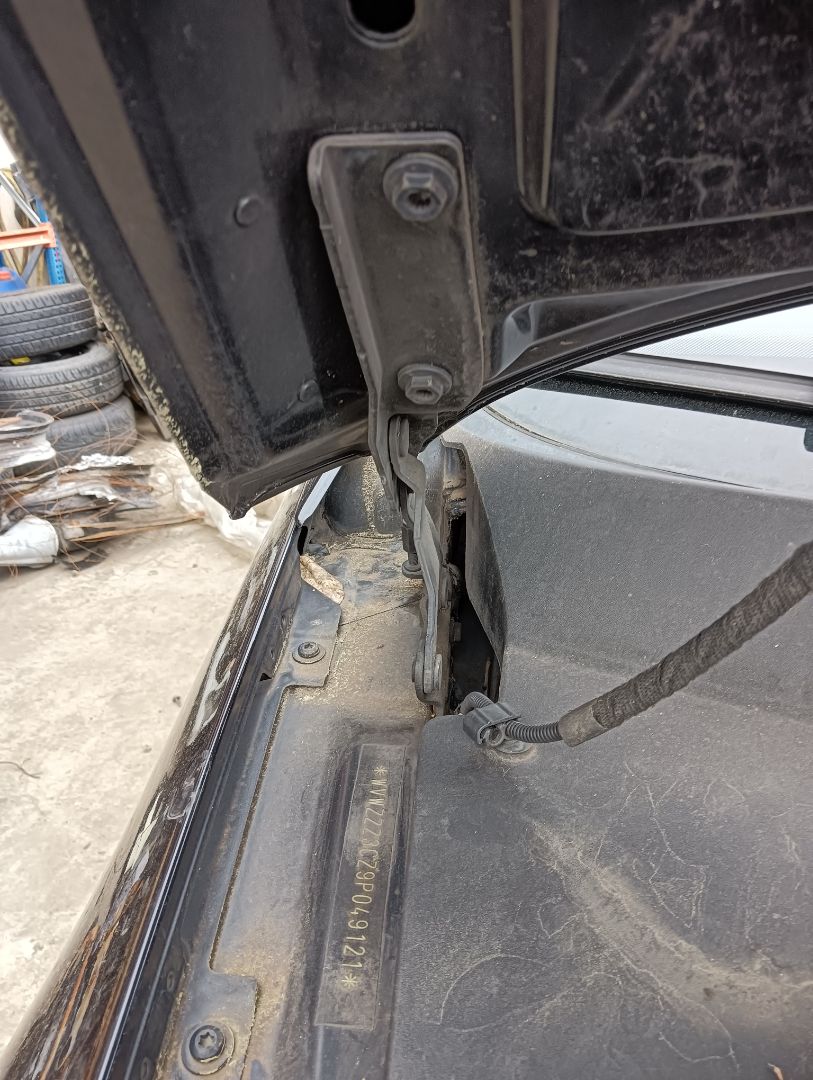 Bisagra capó Volkswagen Passat (3C2)