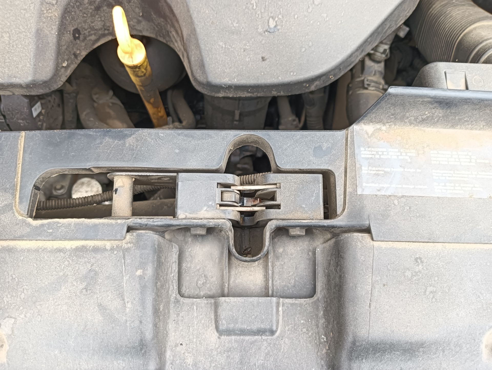 Cerradura capó SEAT Ibiza (6L1)