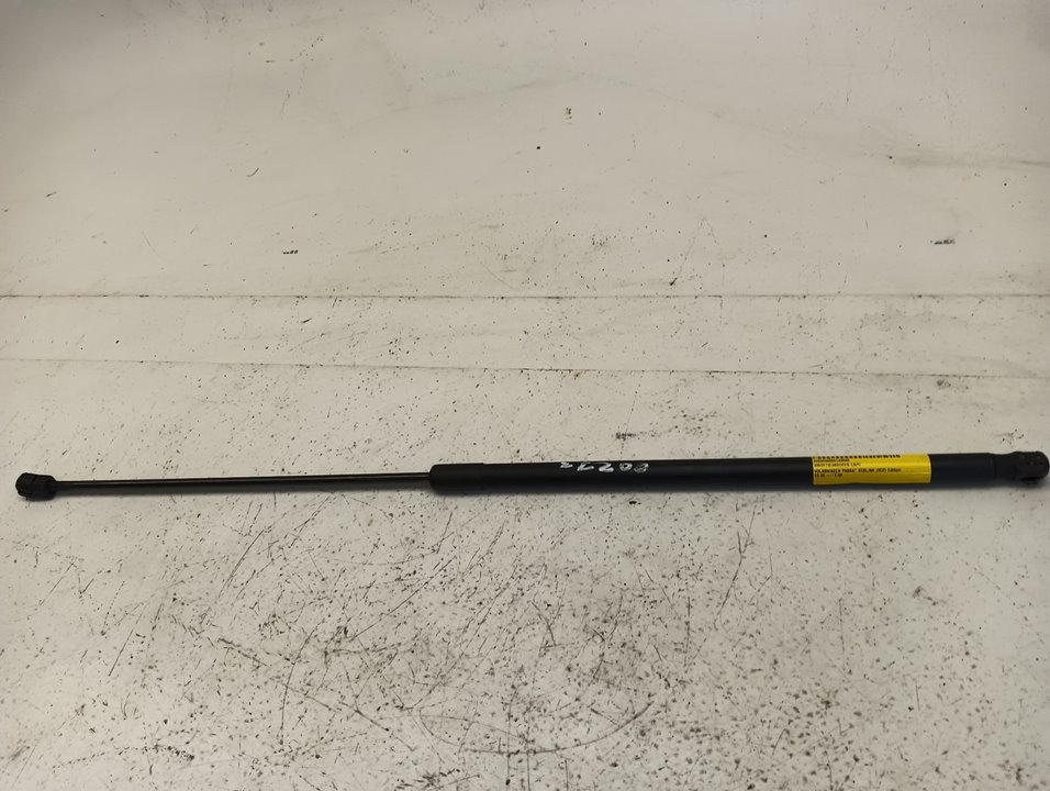 Amortiguadores capó Volkswagen Passat (3C2)