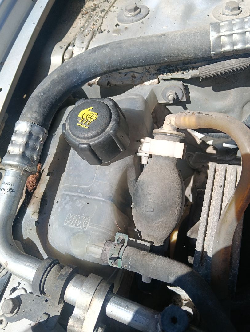 Depósito expansión Renault Megane III