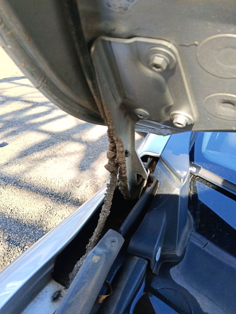 Bisagra capó Renault Megane III