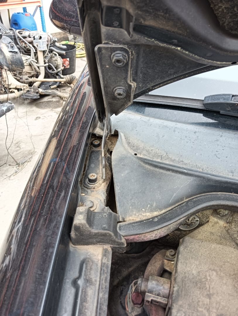 Bisagra capó SEAT Ibiza (6L1)