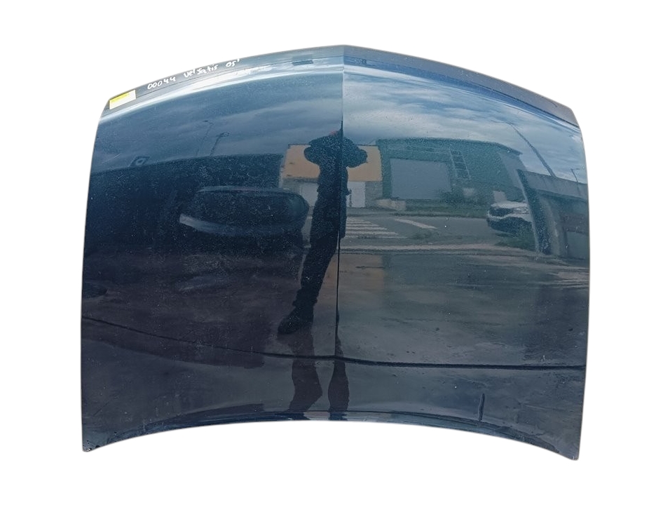 Capó Renault Vel Satis (BJ0)