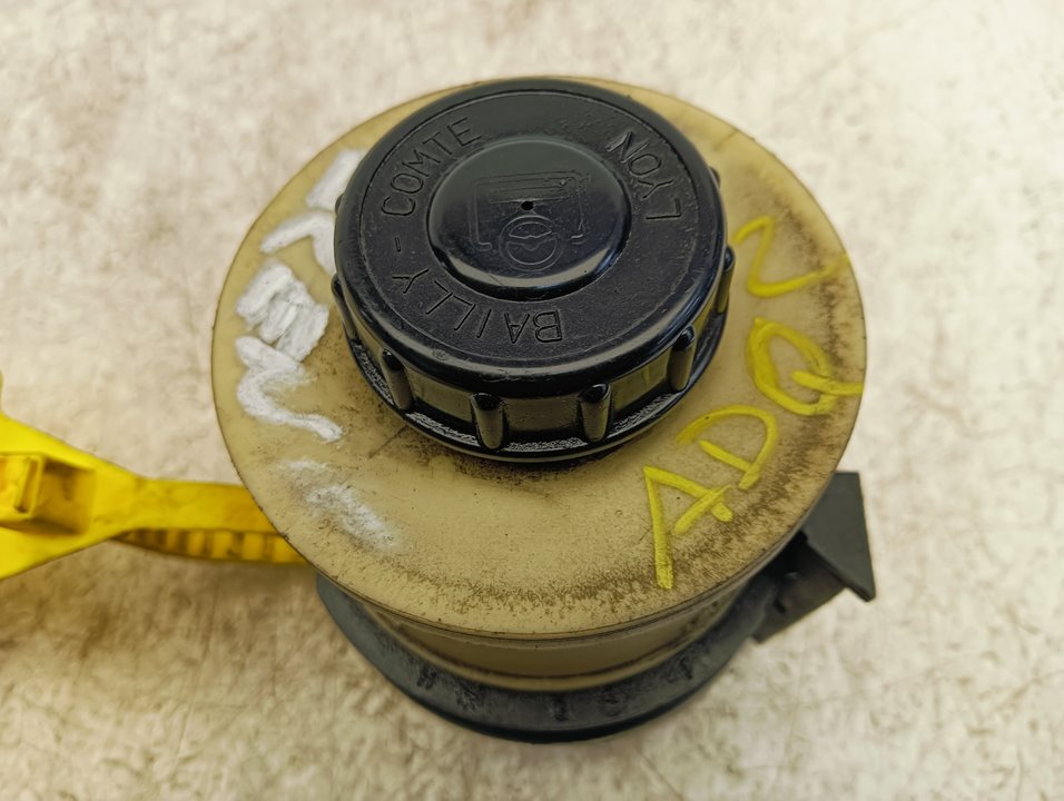 Depósito servo Renault Scenic I (JA...)