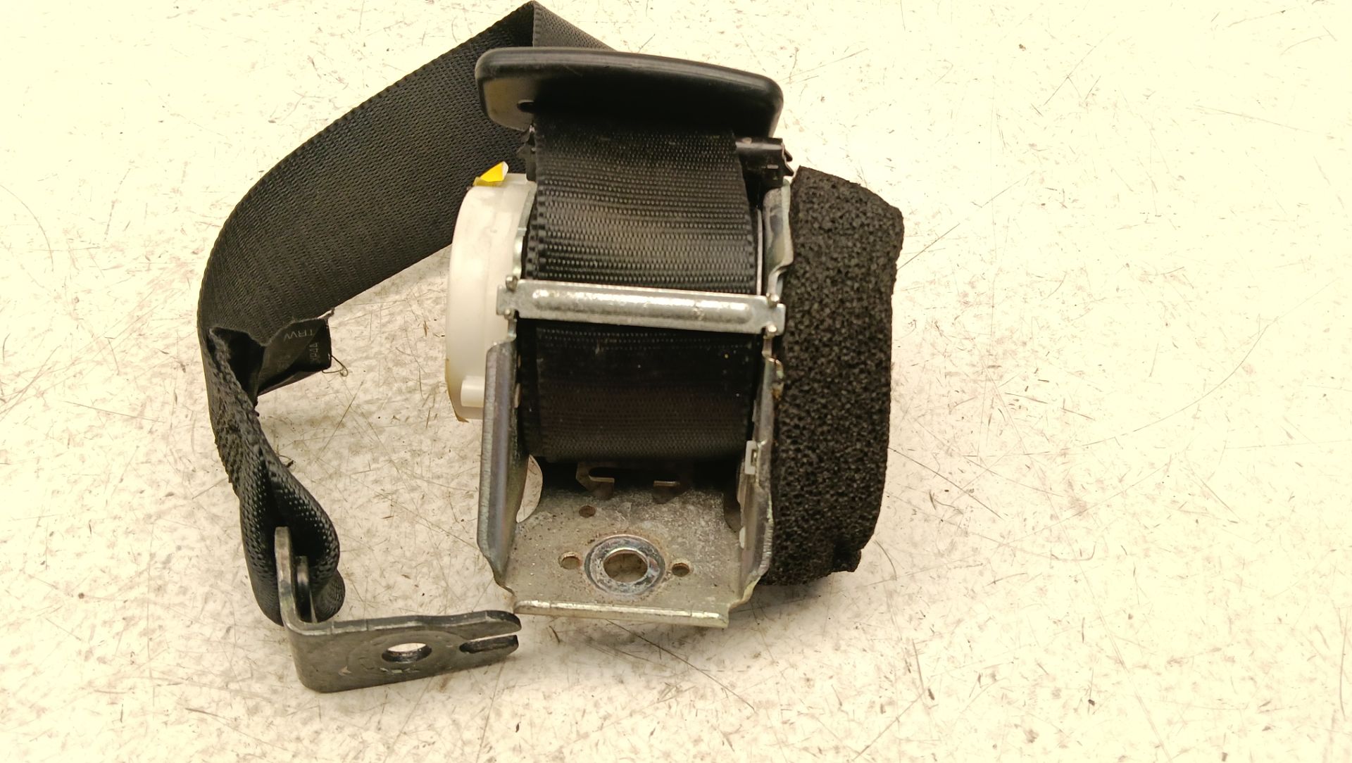 Cinturón seguridad Ford Focus (CB4)