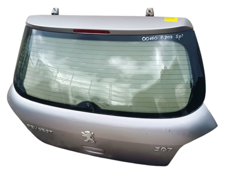 Portón Peugeot 307 (S2)