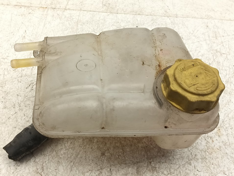 Depósito expansión Ford Focus (CAK)