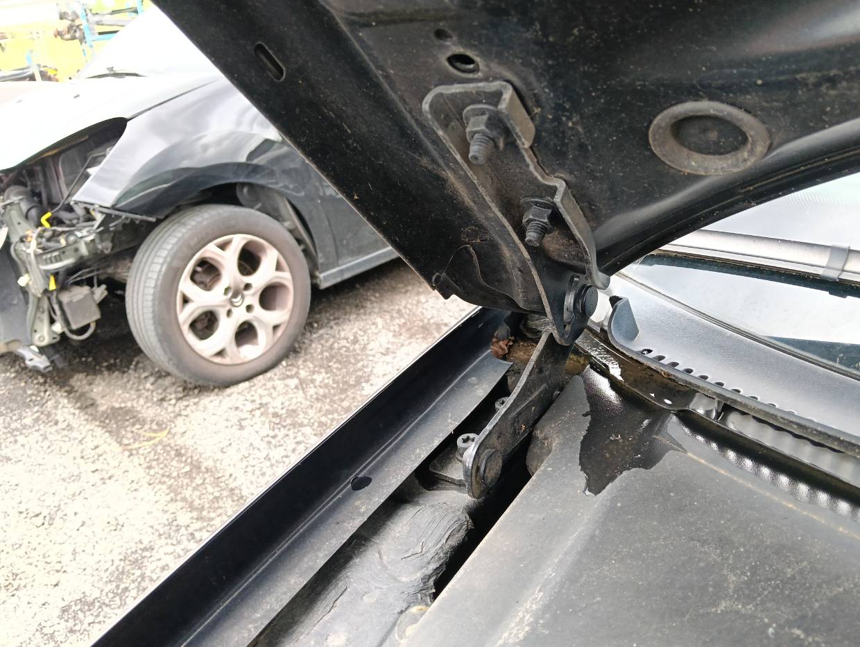 Bisagra capó SEAT Exeo (3R2)