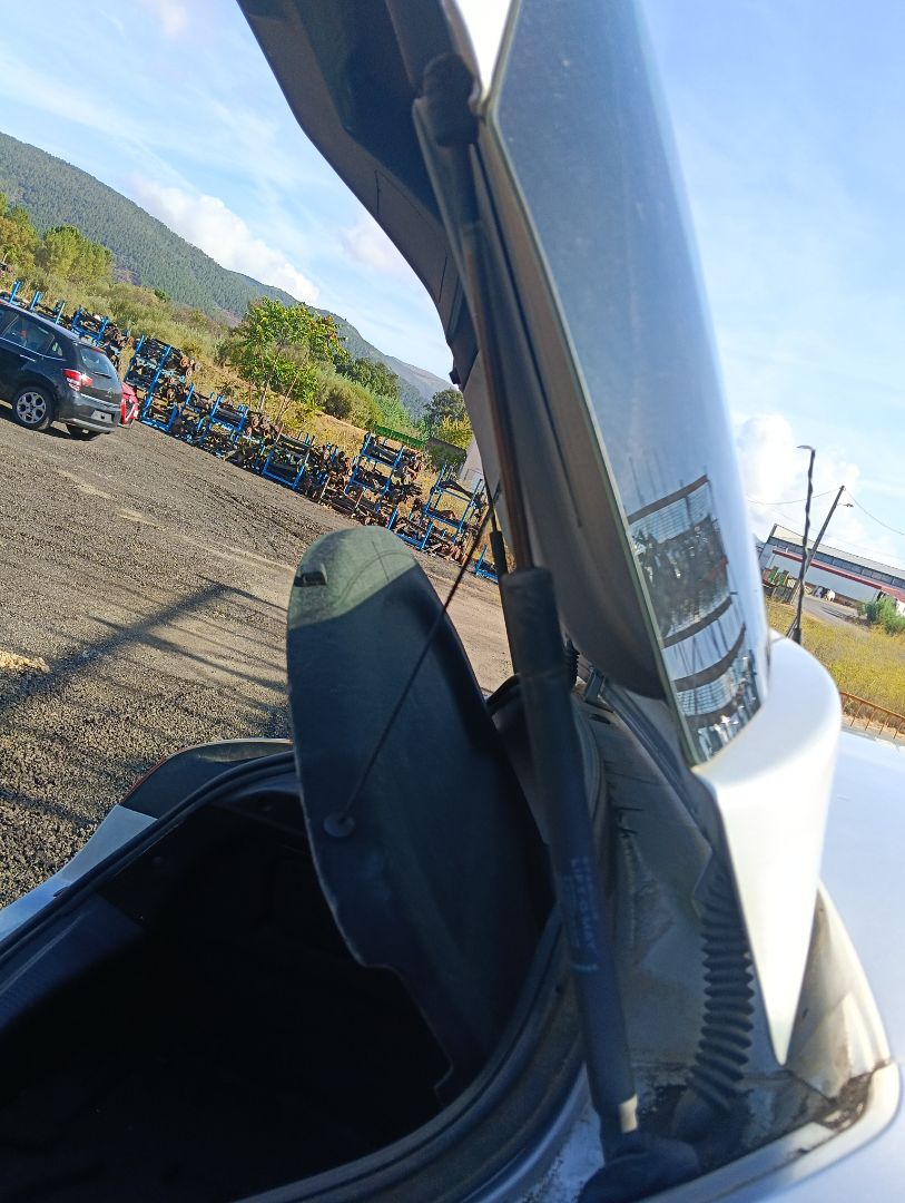 Amortiguadores maletero / portón Renault Megane III