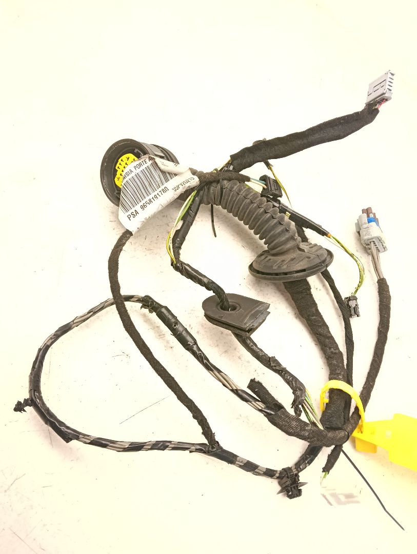 Cableado eléctrico Peugeot 407