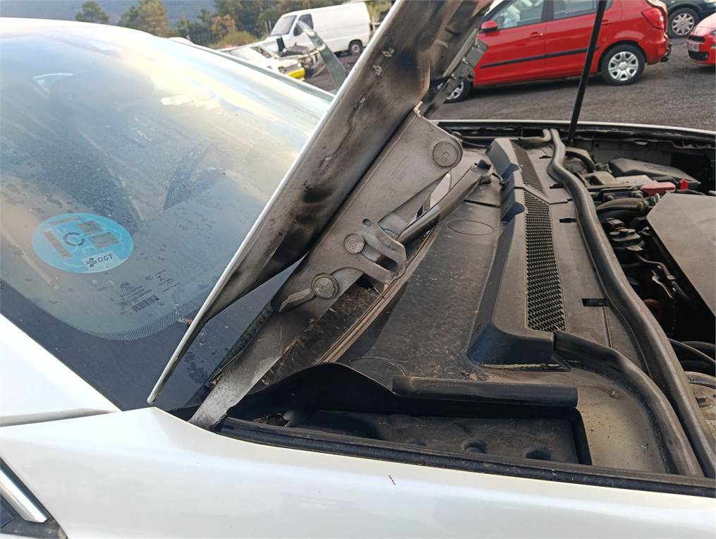 Bisagra capó Peugeot 508 (R8)