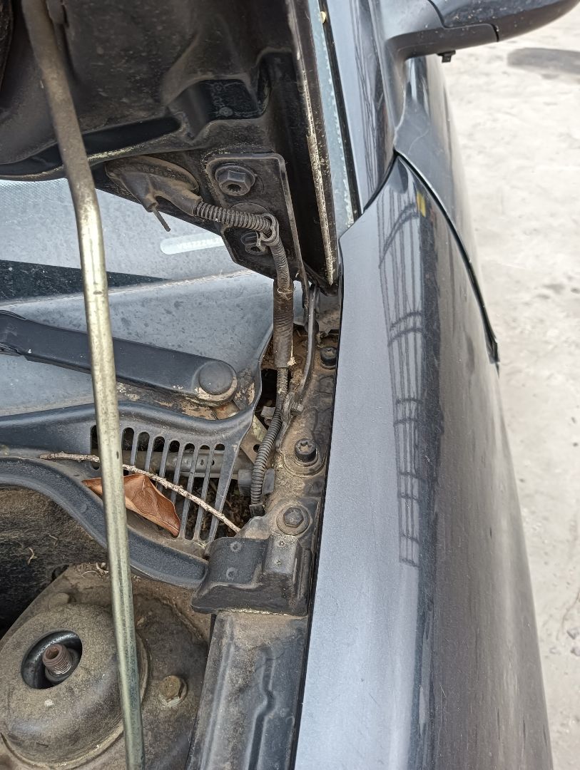 Bisagra capó SEAT Ibiza (6L1)