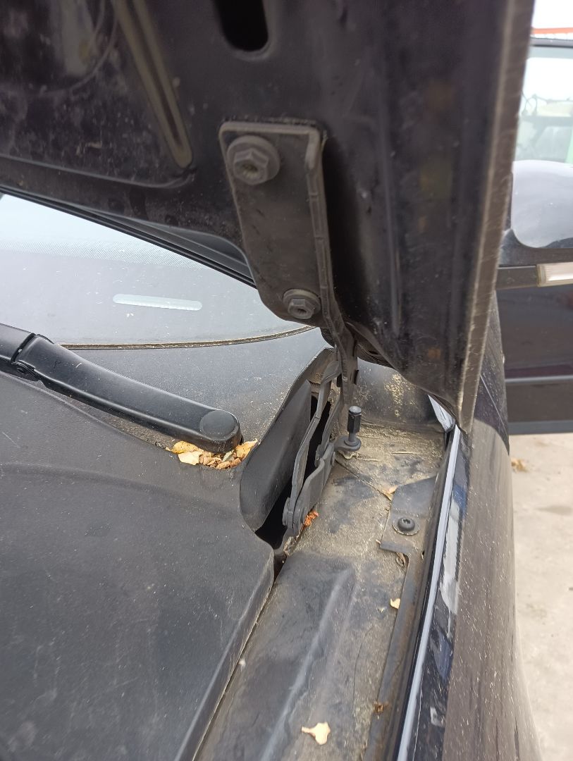 Bisagra capó Volkswagen Passat (3C2)