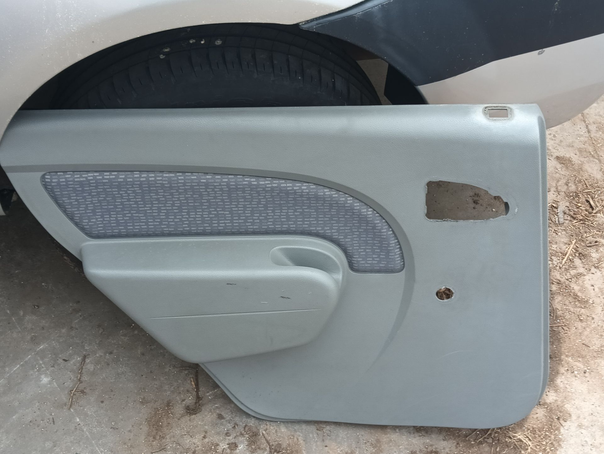 Guarnecido puerta Dacia Logan 1